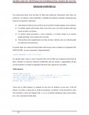 Modelo sistemas de información. Bases de datos