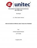 Informe Analisis de Memes sobre Temas de la Realidad