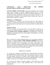 MODELO DE JUICIO EJECUTIVO MERCANTIL - Documentos de Investigación - NILOCIN