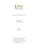Unidad 1: Fase 2 - Estudio de caso de Luciana