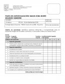 PAUTA DE AUTOEVALUACIÓN: BAILES ZONA NORTE