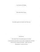 La correspondencia relacionada con este texto debe ser dirigida al Mg. Ariel Charry Morales. Profesor. Programa de Psicología – Campus Villavicencio.