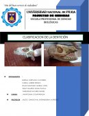 Sistema tegumentario