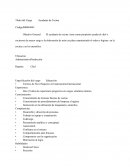 Gerente general, descripción