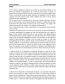 Tarea sobre violencia a la mujer