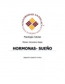 Hormonas del sueño