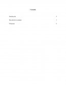 Ensayo rojo como el cielo