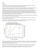 Reduccion de deformacion en cizallado Fino