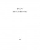 ENSAYO: RRHH Y SUBSISTEMAS