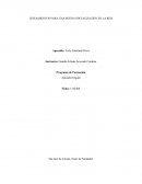 LINEAMIENTOS PARA UNA BUENA SOCIALIZACIÓN EN LA RED