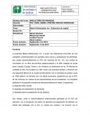 Blaine Kitchenware Inc. Estructura de capital