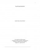 Ensayo caso desaciertos