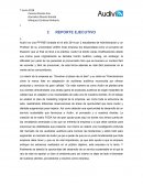 Resumen ejecutivo Audivi