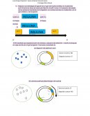 Fisiologia microbiana