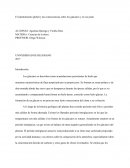 El oso polar y su habitat