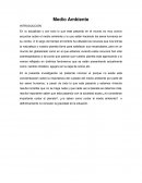 Proyecto Medio Ambiente. Cuidado del medio ambiente