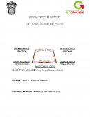 Desarrollar las Dimensiones con la película ROJO COMO EL CIELO