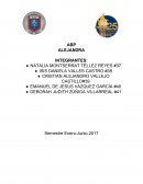 Semestre Enero-Junio 2017