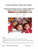 FORMATOS DE PRODUCTOS DE LA QUINTA SESIÓN DEL CONSEJO TÉCNICO ESCOLAR FEBRERO 2016[pic 1]