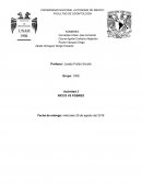 Lentes delgadas-Equipo 11