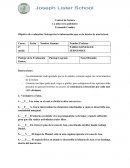 Prueba de Lectura - La niña en la palomera