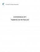 Numero de Reynolds, experiencia