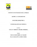 QUIMICA Y FUNDAMENTOS INGENERÍA BIOQUÍMICA