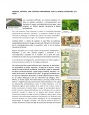 HUMEDAL ARTIFICIAL UNA ECOTECNIA PREHISPÁNICA PARA EL MANEJO SUSTENTABLE DEL AGUA