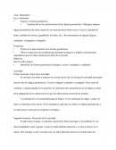 Planificacion matematicas (Bingo de figuras geometricas) 4/5 años