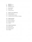 Descripcion de puestos manantial