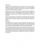 Epicureismo. Estoicismo