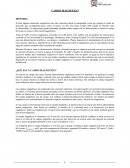 ¿Qué es un campo magnetico?