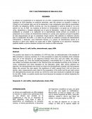 PCR Y ELECTROFORESIS DE DNA EN E.COLI