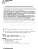 REA: FORMACIÓN PERSONAL Y SOCIAL, AMBIENTE NATURAL Y SOCIAL Y PRÁCTICAS DEL LENGUAJE.