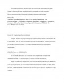 Efecto vasoconstrictor local: mejora la visibilidad al disminuir la hemorragia.