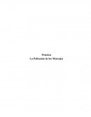 La Polisemia de los Mensajes (Práctica)