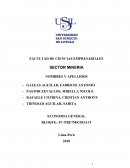 Empresa minera