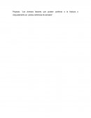 Proyecto: “Los diversos factores que pueden conllevar a la fractura o craquelamiento en piezas cerámicas de saneado”