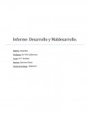 Desarrollo y maldesarrollo