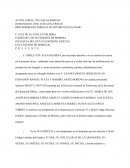 PROCEDIMIENTO ESPECIAL DE DIVORCIO INCAUSADO