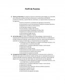 Perfil de puestos, ejemplo