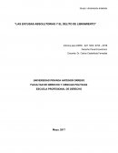 Libramiento indebido