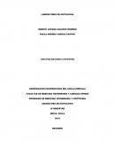 LABORATORIO DE HISTOLOGIA