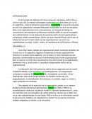 Interacción del individuo en la organización