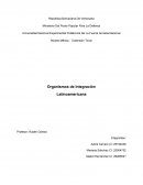 Organismos de Integración Latinoamericana