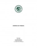 DINÁMICA DE TRABAJO