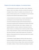 Respeto de los derechos indígenas y las minorías étnicas: