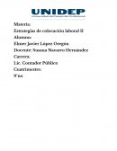 Ensayo Estrategias de colocación laboral II