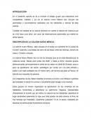 DESCRIPCIÓN DE LA COLONIA NUEVO MÉXICO