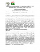 Influencia de tres tipos de tratamientos en el cultivo de maíz forrajero (Zea Mays)